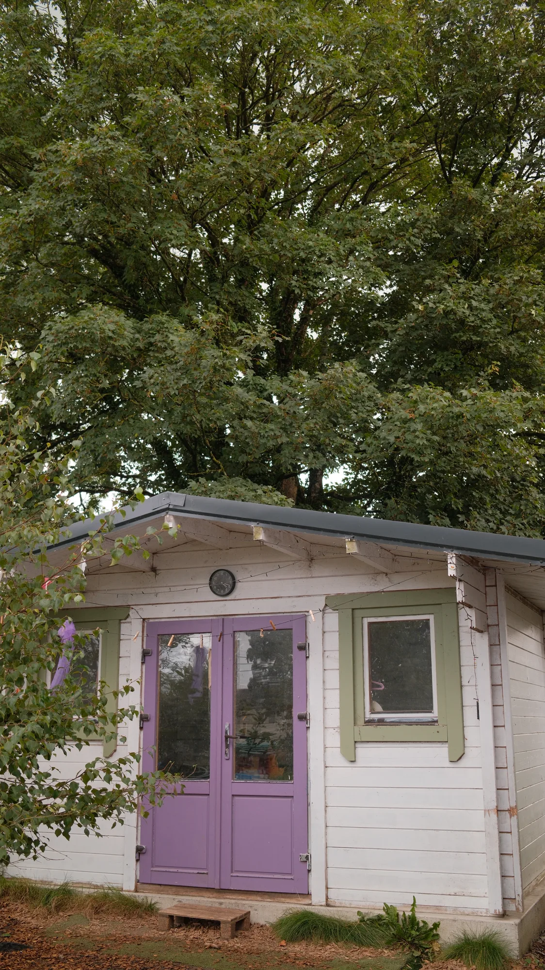 The small purple-doored cabin beneath the trees
