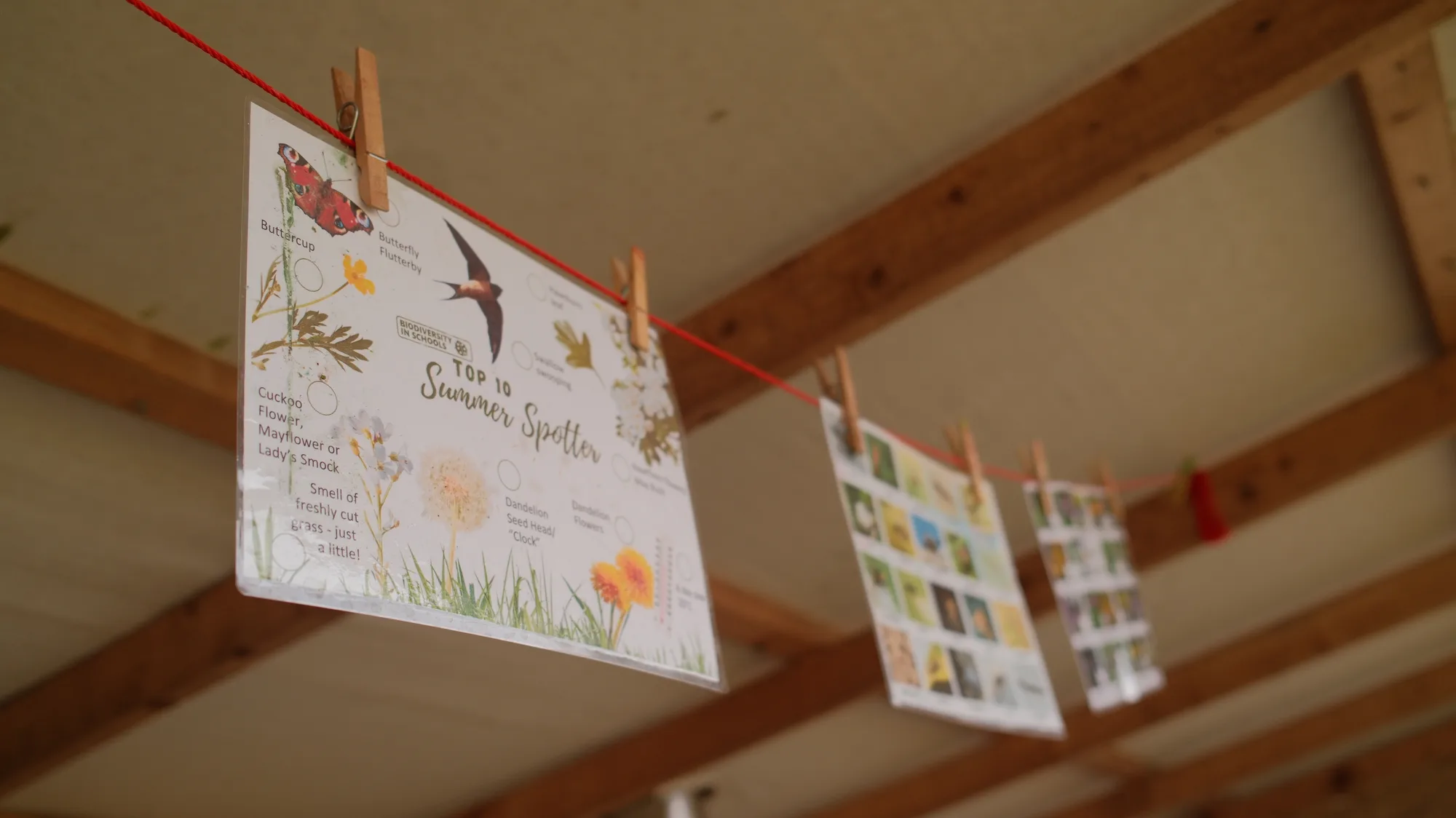Drawings hanging from a line inside the cabin